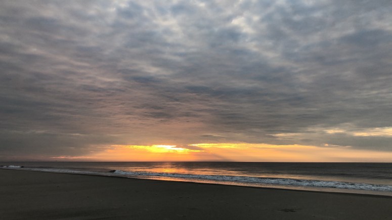 0e864b7f-3847-40e3-bd50-6bef82176895