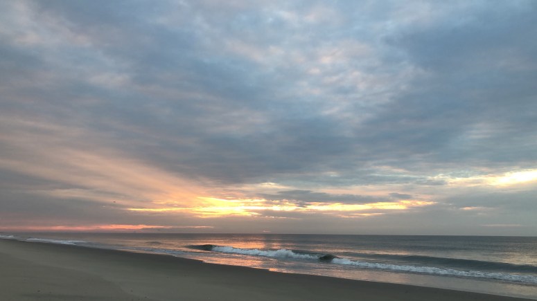 775db8d7-3397-4958-b66f-047d9a7c62bf