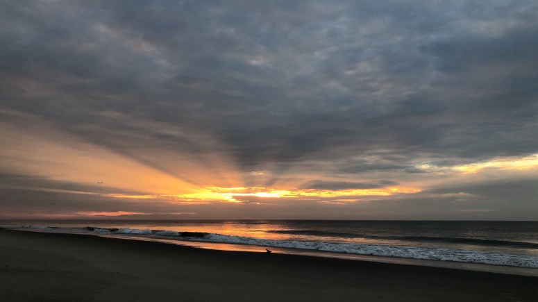 80f2a461-f6f8-4793-a018-8f2aab3b60a9