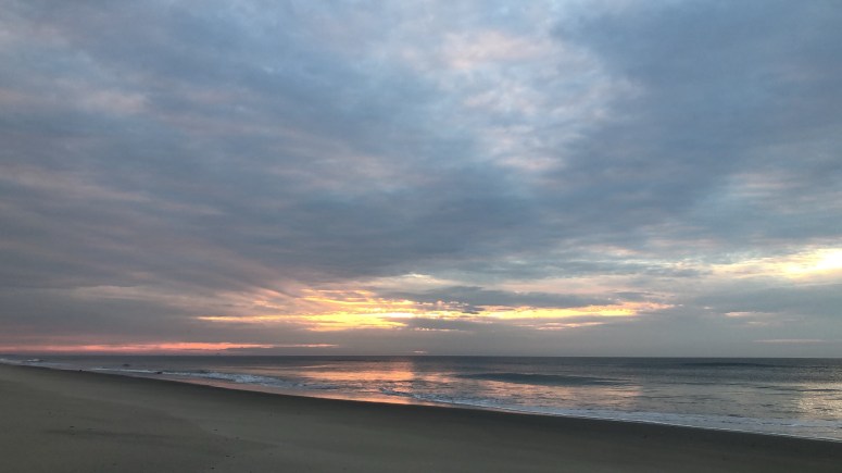 eb179b2f-7e29-4b79-9e4f-8cc19e292385